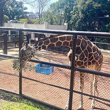 野毛山動物園のundefinedに実際訪問訪問したユーザーunknownさんが新しく投稿した新着口コミの写真