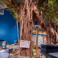 実際訪問したユーザーが直接撮影して投稿した名瀬大字小宿水族館 / アクアリウム奄美海洋展示館の写真