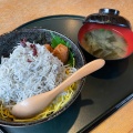 しらす南高梅丼 - 実際訪問したユーザーが直接撮影して投稿した天満丼ものしらす屋ゆあさ湾 則種の写真のメニュー情報