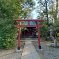 実際訪問したユーザーが直接撮影して投稿した高鼻町神社天津神社の写真