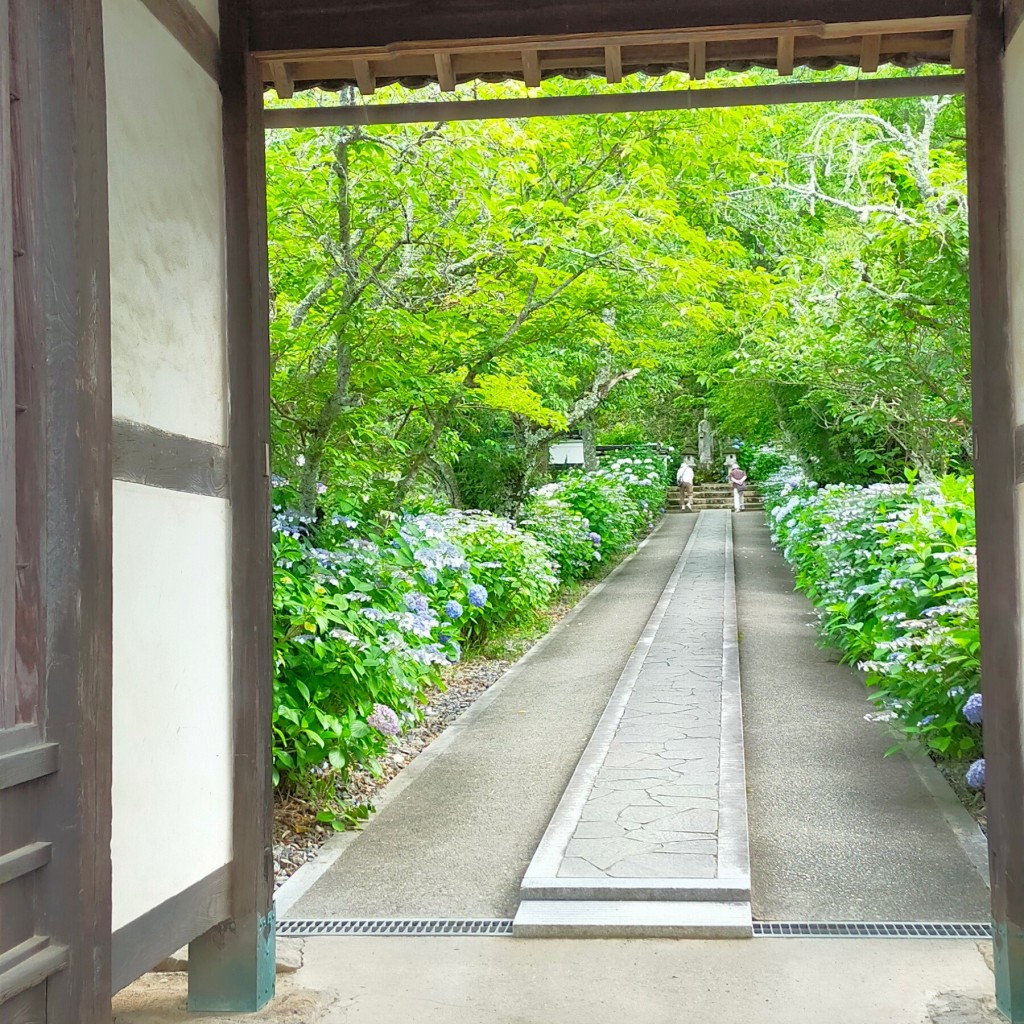 YST10さんが投稿した井口寺のお店長法寺/チョウホウジの写真