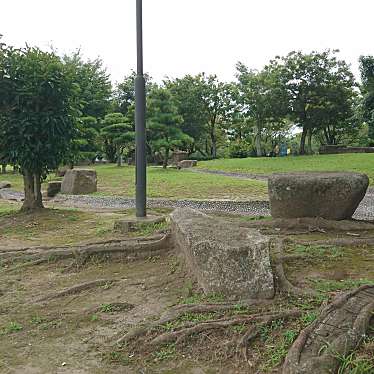 実際訪問したユーザーが直接撮影して投稿した百目木公園百目木公園の写真