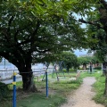 実際訪問したユーザーが直接撮影して投稿した神祇官町公園神祇宮公園の写真