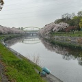 実際訪問したユーザーが直接撮影して投稿した品川町公園荒子川公園の写真