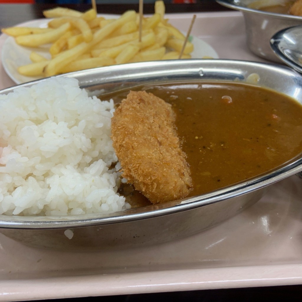 ユーザーが投稿したカレーの写真 - 実際訪問したユーザーが直接撮影して投稿した宝町カレー呉 ハイカラ食堂の写真