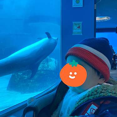 名古屋港水族館のundefinedに実際訪問訪問したユーザーunknownさんが新しく投稿した新着口コミの写真