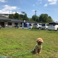 実際訪問したユーザーが直接撮影して投稿した北大河原道の駅道の駅お茶の京都みなみやましろ村の写真