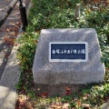 実際訪問したユーザーが直接撮影して投稿した阿倍野筋公園金塚ふれあい東公園の写真