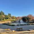 実際訪問したユーザーが直接撮影して投稿した池尻公園世田谷公園の写真