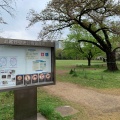 実際訪問したユーザーが直接撮影して投稿した八幡町公園武蔵野中央公園の写真