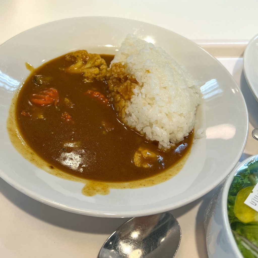 ユーザーが投稿した無添加野菜カレーの写真 - 実際訪問したユーザーが直接撮影して投稿した中央駅前その他飲食店イケアレストラン 福岡新宮の写真