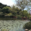 実際訪問したユーザーが直接撮影して投稿した高師公園茂原公園の写真