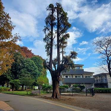 小平中央公園のundefinedに実際訪問訪問したユーザーunknownさんが新しく投稿した新着口コミの写真