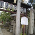 実際訪問したユーザーが直接撮影して投稿した桜井町神社首途八幡宮の写真