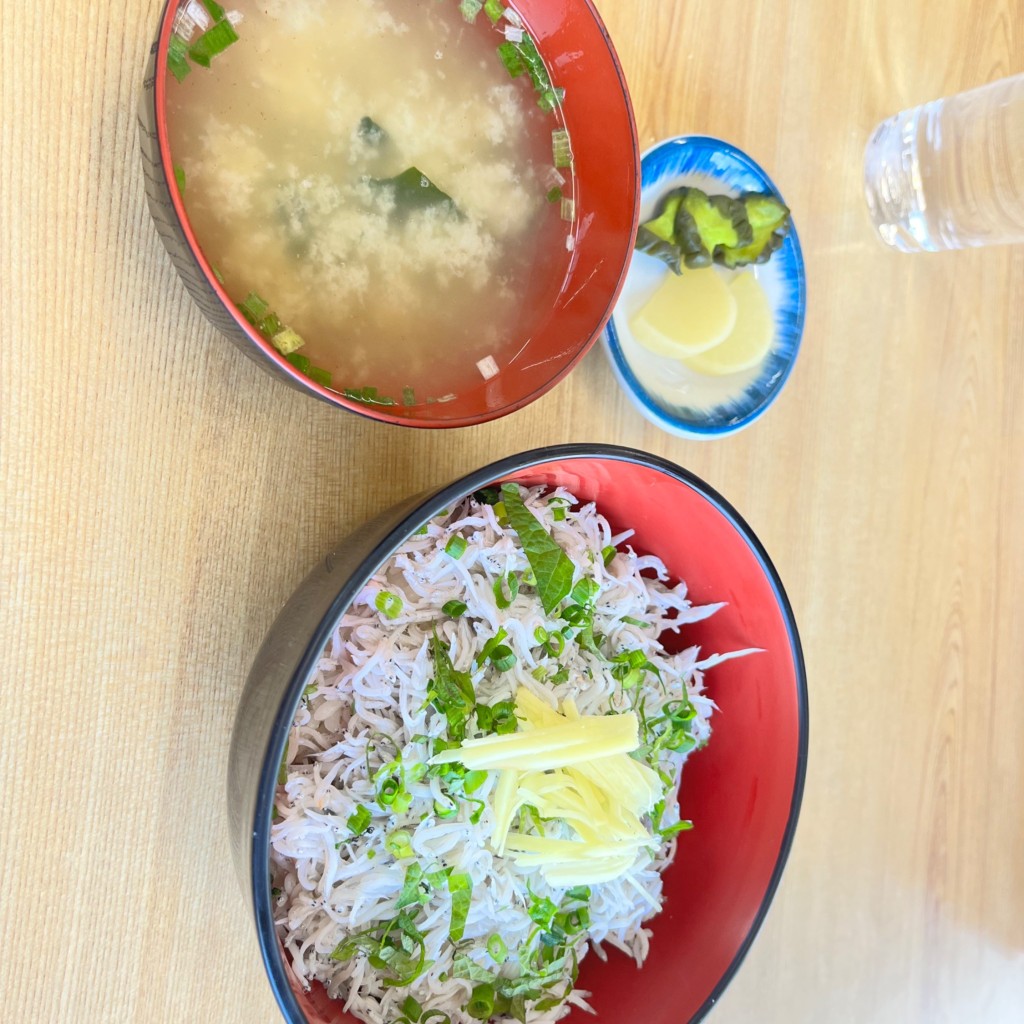 ユーザーが投稿した釜揚げしらす丼の写真 - 実際訪問したユーザーが直接撮影して投稿した江の島定食屋遊覧亭の写真
