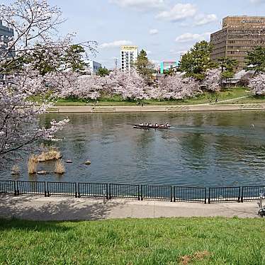 岡崎公園のundefinedに実際訪問訪問したユーザーunknownさんが新しく投稿した新着口コミの写真