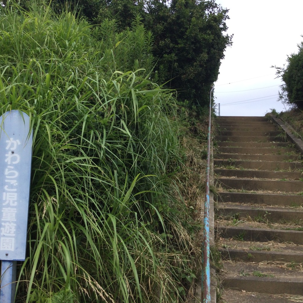 実際訪問したユーザーが直接撮影して投稿した東多賀町公園かわらご児童遊園の写真