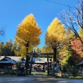 実際訪問したユーザーが直接撮影して投稿した惣社町神社大神神社の写真