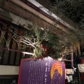 実際訪問したユーザーが直接撮影して投稿した菊名神社菊名神社の写真