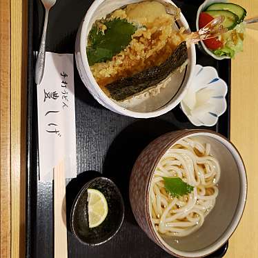 実際訪問したユーザーが直接撮影して投稿した西中島うどん手打うどん 豊しげの写真