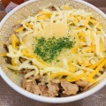 牛丼並 - 実際訪問したユーザーが直接撮影して投稿した成城牛丼すき家 成城学園駅前店の写真のメニュー情報