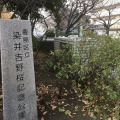 実際訪問したユーザーが直接撮影して投稿した駒込公園染井吉野桜記念公園の写真