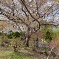 実際訪問したユーザーが直接撮影して投稿した手宮公園手宮公園の写真