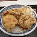 から揚丼 - 実際訪問したユーザーが直接撮影して投稿した神田駿河台牛丼吉野家 お茶の水店の写真のメニュー情報