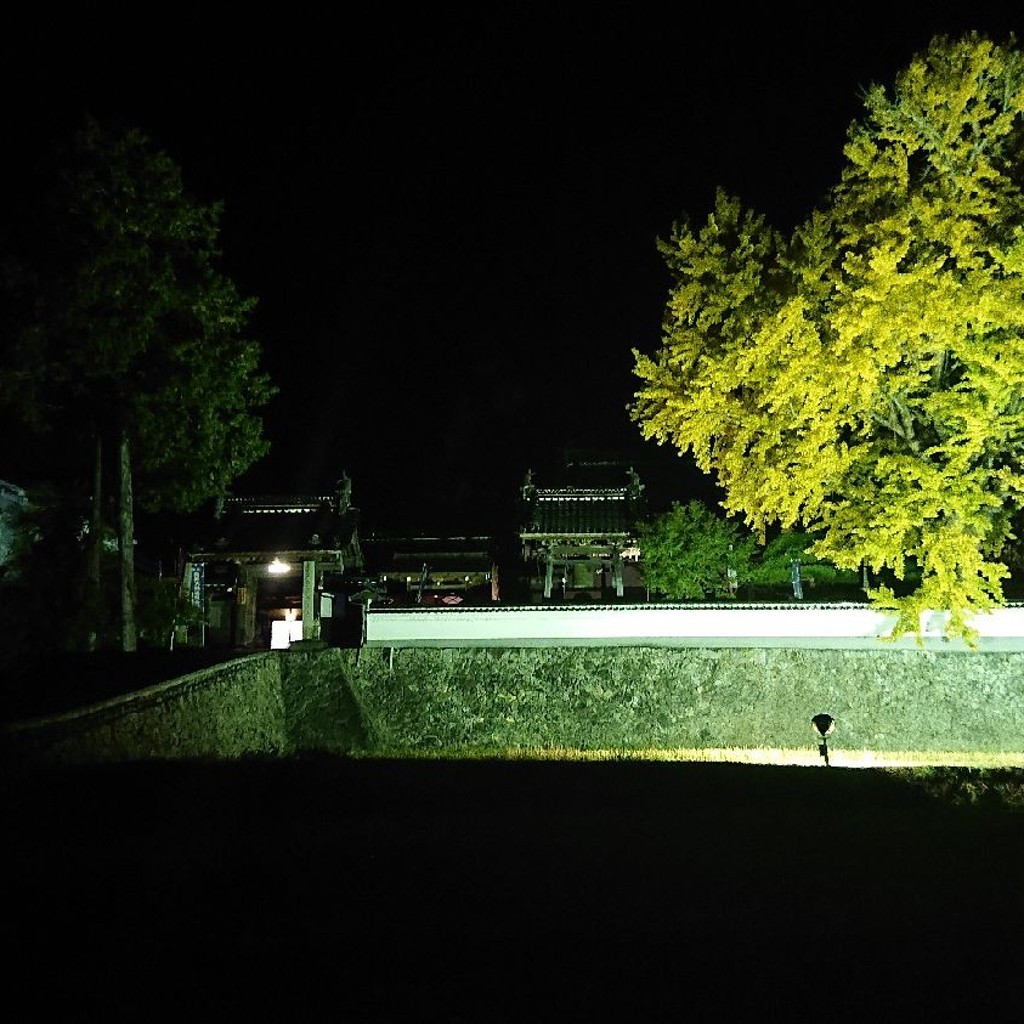 実際訪問したユーザーが直接撮影して投稿した川北寺仏法寺の写真