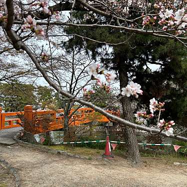 九華公園のundefinedに実際訪問訪問したユーザーunknownさんが新しく投稿した新着口コミの写真