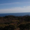 実際訪問したユーザーが直接撮影して投稿した万田公園高麗山公園の写真