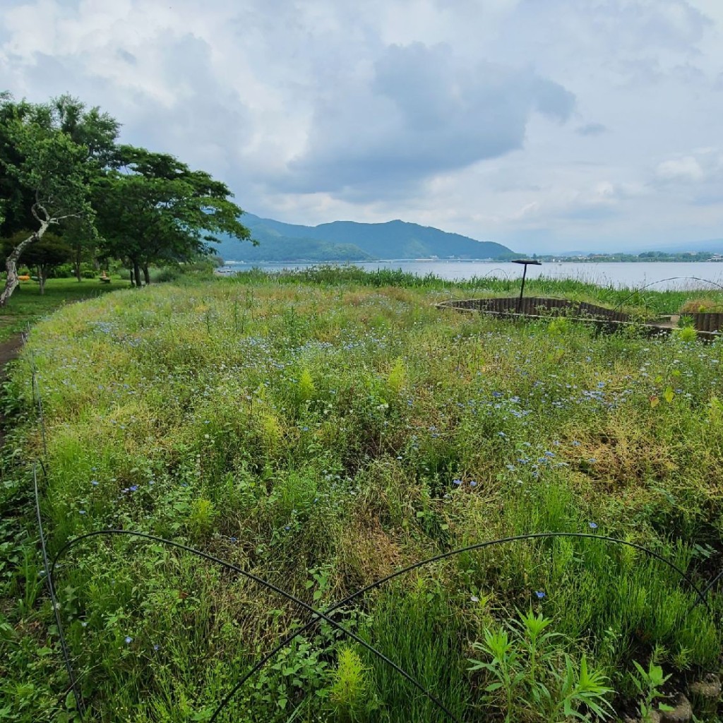 実際訪問したユーザーが直接撮影して投稿した大石公園湖畔の公園の写真