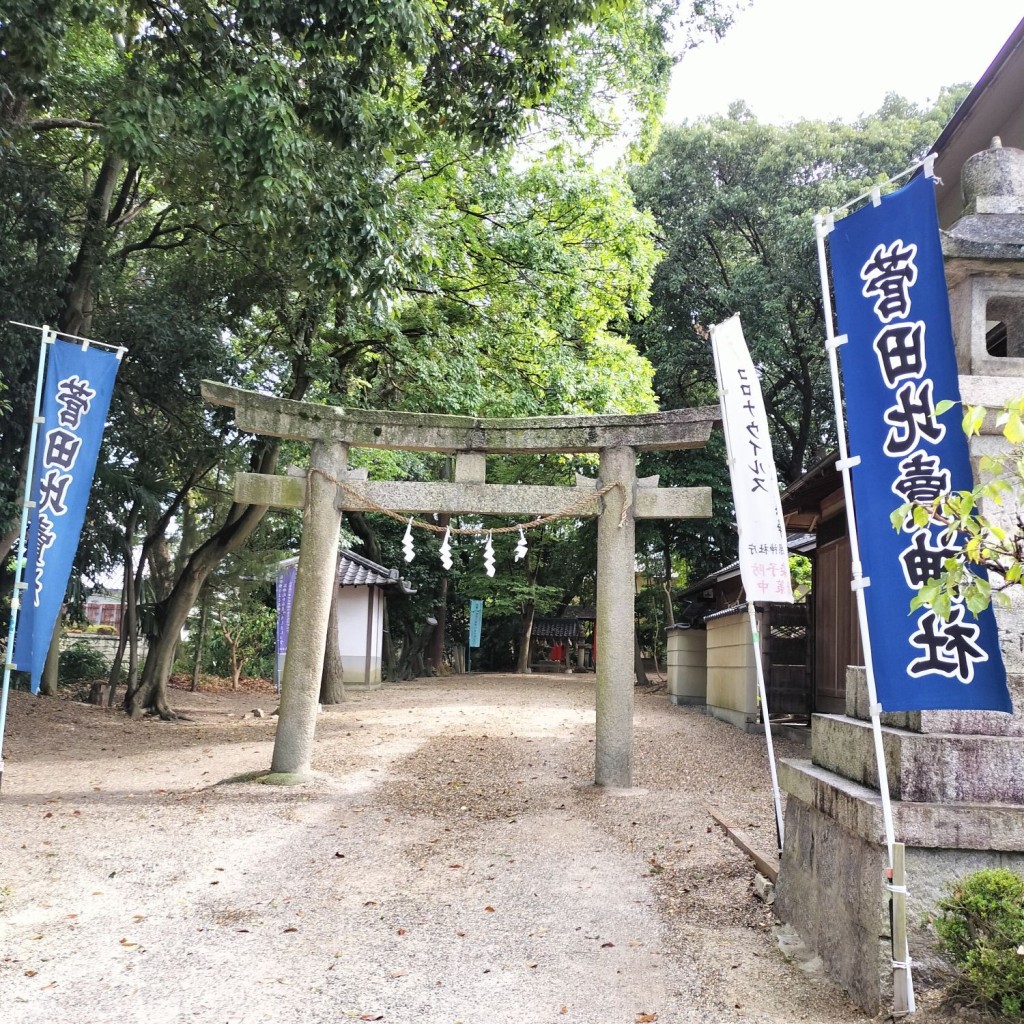 実際訪問したユーザーが直接撮影して投稿した筒井町神社菅田比賣神社の写真