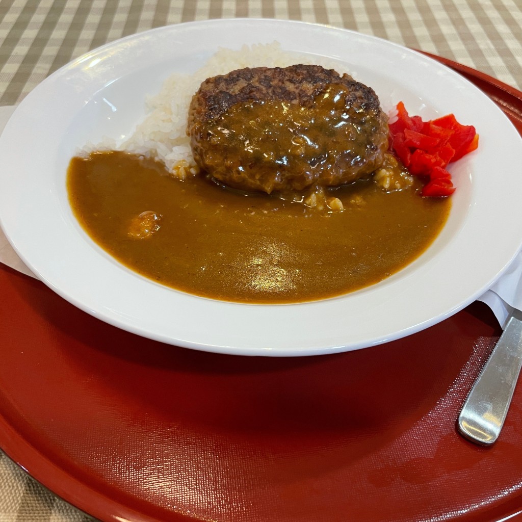 ユーザーが投稿した食堂のハンバーグカレーの写真 - 実際訪問したユーザーが直接撮影して投稿した天神橋定食屋まいどおおきに食堂 森町食堂の写真