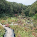 実際訪問したユーザーが直接撮影して投稿した入山公園チャツボミゴケ公園の写真