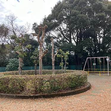 実際訪問したユーザーが直接撮影して投稿した緑が丘公園緑が丘第1公園の写真