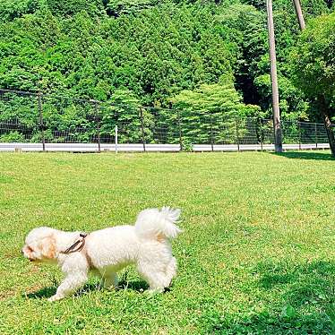 実際訪問したユーザーが直接撮影して投稿した寄公園寄七つ星ドッグランの写真