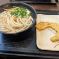 かけうどん 大 かぼちゃ天 - 実際訪問したユーザーが直接撮影して投稿した天神前うどんこだわり麺や 高松店の写真のメニュー情報