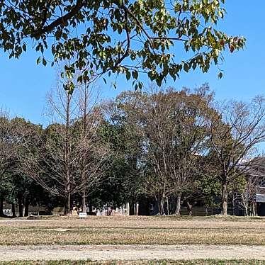 実際訪問したユーザーが直接撮影して投稿した出川町公園出川南公園の写真