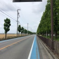 実際訪問したユーザーが直接撮影して投稿した赤松町道の駅道の駅 デンパーク安城の写真