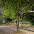 実際訪問したユーザーが直接撮影して投稿した正木公園正木公園の写真