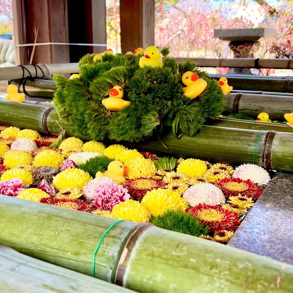 実際訪問したユーザーが直接撮影して投稿した直方神社多賀神社の写真