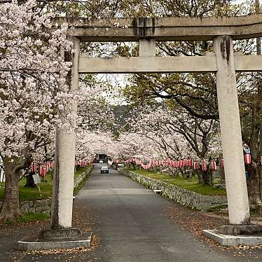 賀集八幡神社のundefinedに実際訪問訪問したユーザーunknownさんが新しく投稿した新着口コミの写真