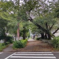 実際訪問したユーザーが直接撮影して投稿した橘公園下茶屋街園の写真