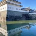 実際訪問したユーザーが直接撮影して投稿した駿府城公園歴史 / 遺跡駿府城二ノ丸 巽櫓の写真