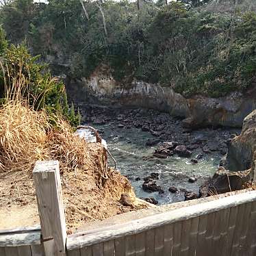 実際訪問したユーザーが直接撮影して投稿した大津町字五浦公園天心遺跡記念公園の写真