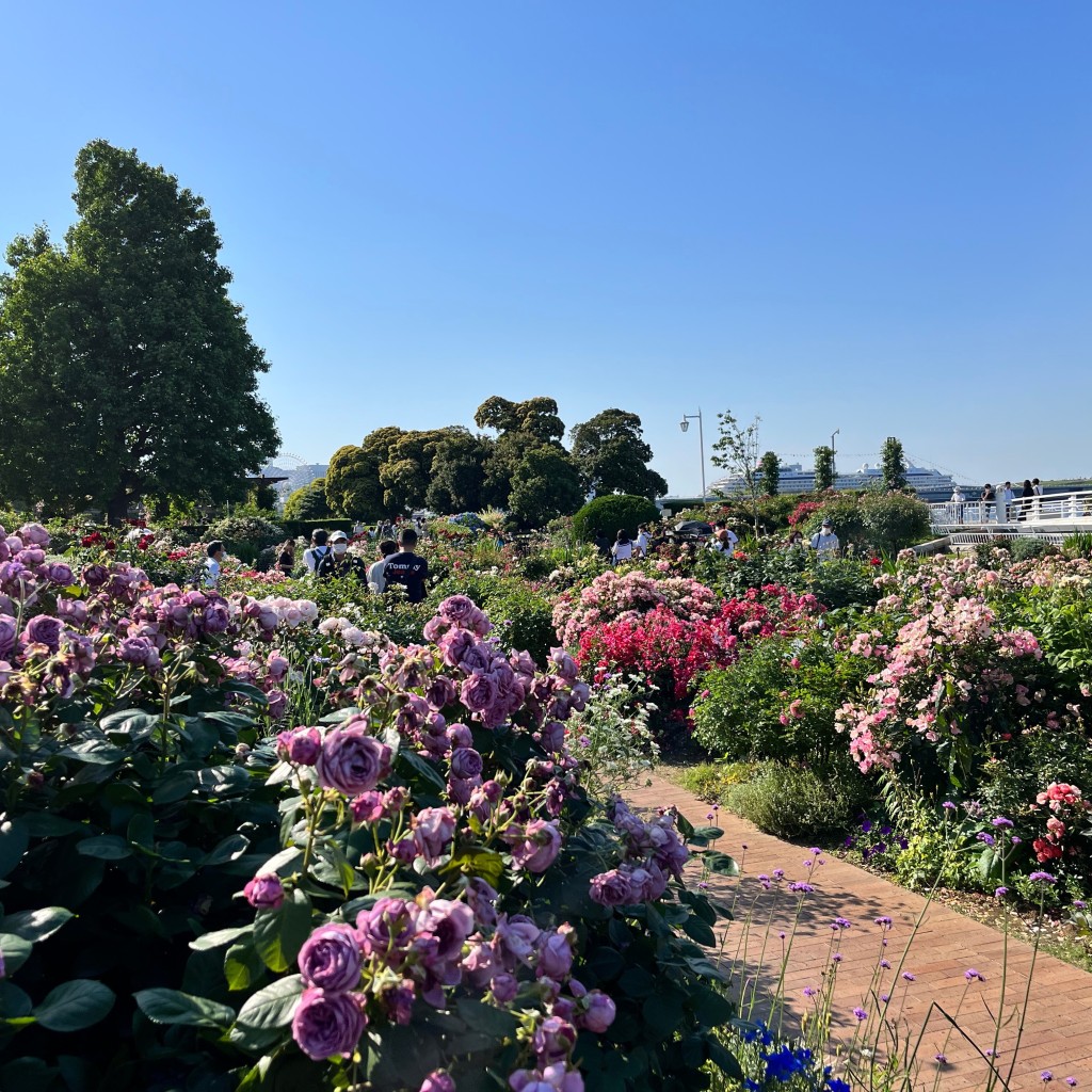 かつかつ2400さんが投稿した山下町公園のお店山下公園/ヤマシタコウエンの写真