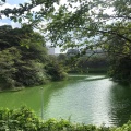 実際訪問したユーザーが直接撮影して投稿した北の丸公園公園北の丸公園の写真