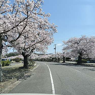 実際訪問したユーザーが直接撮影して投稿した田村町小川葬儀 / 斎場・霊園東山霊園の写真