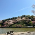 実際訪問したユーザーが直接撮影して投稿した若王子公園蓮華寺池公園の写真